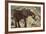 East Kenya, Chyulu Hills, Old Donyo Wuas Lodge, Mbirikani-Alison Jones-Framed Photographic Print