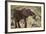 East Kenya, Chyulu Hills, Old Donyo Wuas Lodge, Mbirikani-Alison Jones-Framed Photographic Print