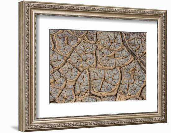 East Kenya, Nairobi, Langata, Hog Ranch, Cracked, Dry Earth-Alison Jones-Framed Photographic Print