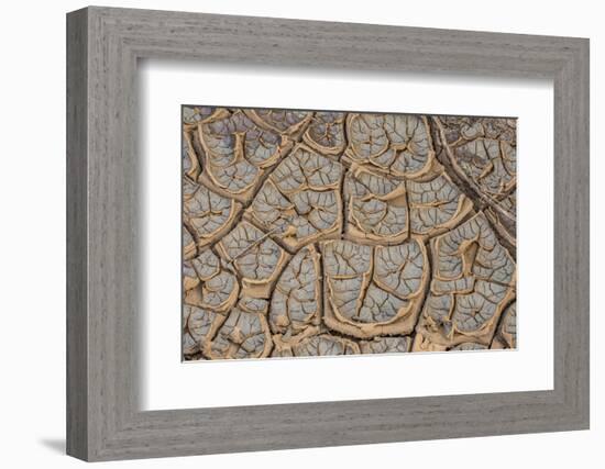 East Kenya, Nairobi, Langata, Hog Ranch, Cracked, Dry Earth-Alison Jones-Framed Photographic Print