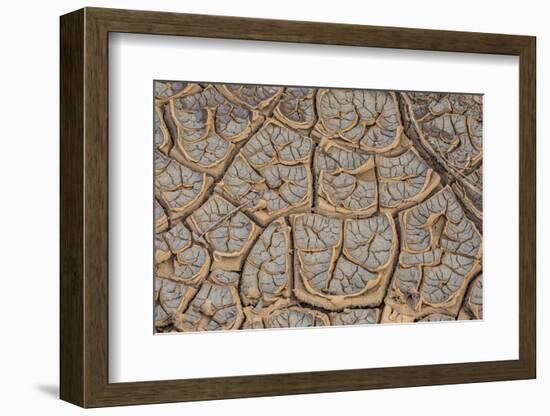 East Kenya, Nairobi, Langata, Hog Ranch, Cracked, Dry Earth-Alison Jones-Framed Photographic Print