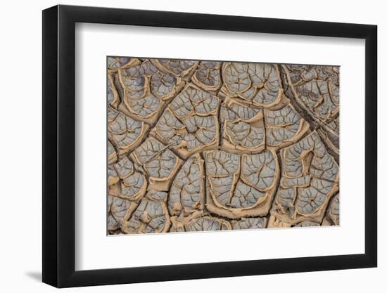 East Kenya, Nairobi, Langata, Hog Ranch, Cracked, Dry Earth-Alison Jones-Framed Photographic Print