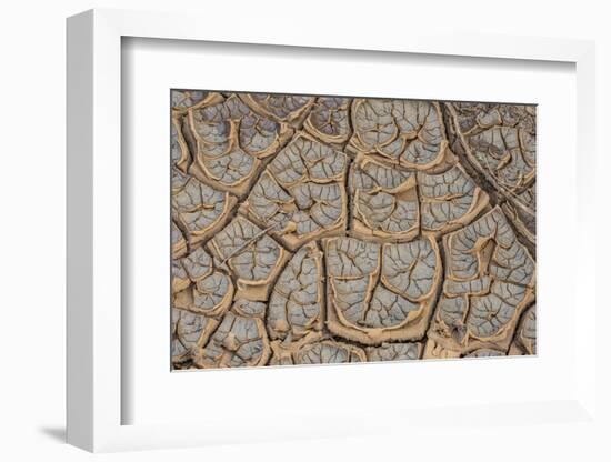 East Kenya, Nairobi, Langata, Hog Ranch, Cracked, Dry Earth-Alison Jones-Framed Photographic Print