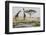 East Kenya, Outside Amboseli NP, Pair of Maasai Giraffe at Waterhole-Alison Jones-Framed Photographic Print