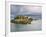 East Quoddy (Head Harbour) Lighthouse, Campobello Island, New Brunswick, Canada, North America-Alan Copson-Framed Photographic Print