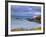 East Quoddy (Head Harbour) Lighthouse, Campobello Island, New Brunswick, Canada, North America-Alan Copson-Framed Photographic Print