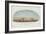 East River Bridge-null-Framed Giclee Print