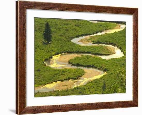 East River near Crested Butte, Colorado, USA-Julie Eggers-Framed Photographic Print