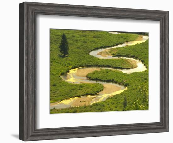 East River near Crested Butte, Colorado, USA-Julie Eggers-Framed Photographic Print