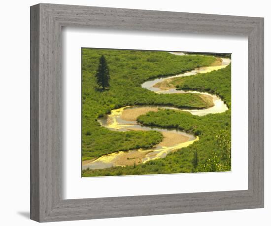 East River near Crested Butte, Colorado, USA-Julie Eggers-Framed Photographic Print