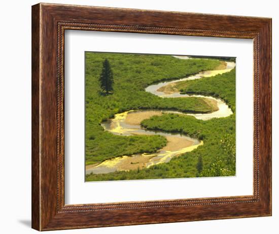 East River near Crested Butte, Colorado, USA-Julie Eggers-Framed Photographic Print