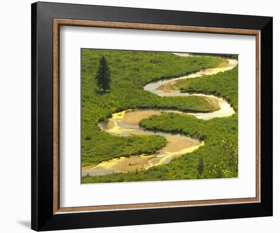 East River near Crested Butte, Colorado, USA-Julie Eggers-Framed Photographic Print