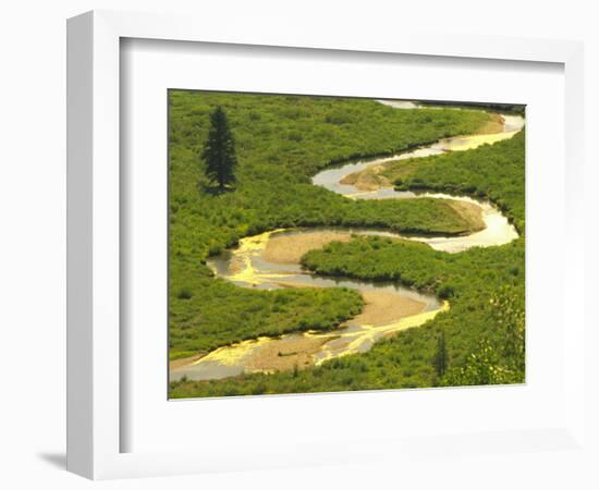 East River near Crested Butte, Colorado, USA-Julie Eggers-Framed Photographic Print