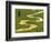 East River near Crested Butte, Colorado, USA-Julie Eggers-Framed Photographic Print