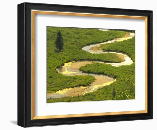 East River near Crested Butte, Colorado, USA-Julie Eggers-Framed Photographic Print