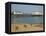 Eastbourne Pier, Beach and Groynes, Eastbourne, East Sussex, England, United Kingdom, Europe-Neale Clarke-Framed Premier Image Canvas