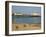 Eastbourne Pier, Beach and Groynes, Eastbourne, East Sussex, England, United Kingdom, Europe-Neale Clarke-Framed Photographic Print