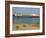 Eastbourne Pier, Beach and Groynes, Eastbourne, East Sussex, England, United Kingdom, Europe-Neale Clarke-Framed Photographic Print