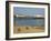 Eastbourne Pier, Beach and Groynes, Eastbourne, East Sussex, England, United Kingdom, Europe-Neale Clarke-Framed Photographic Print