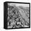 Eastbourne, Sussex, 1962-Staff-Framed Premier Image Canvas