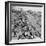 Eastbourne, Sussex, 1962-Staff-Framed Photographic Print