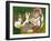 Easter 2-Abraal-Framed Giclee Print