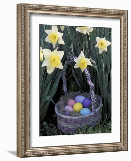 Easter Basket Among Daffodils, Louisville, Kentucky, USA-Adam Jones-Framed Photographic Print