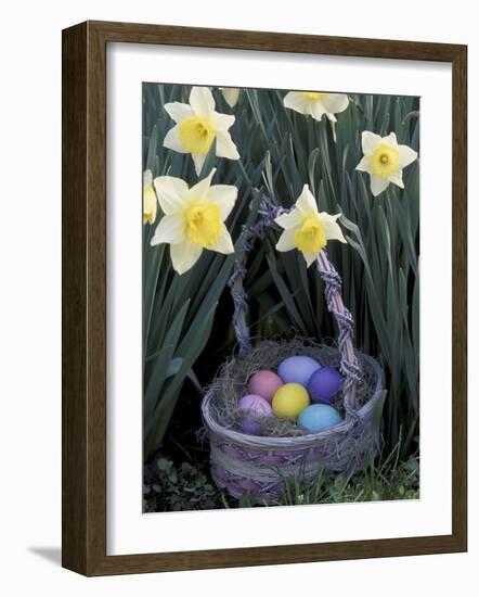 Easter Basket Among Daffodils, Louisville, Kentucky, USA-Adam Jones-Framed Photographic Print