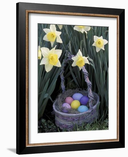 Easter Basket Among Daffodils, Louisville, Kentucky, USA-Adam Jones-Framed Photographic Print