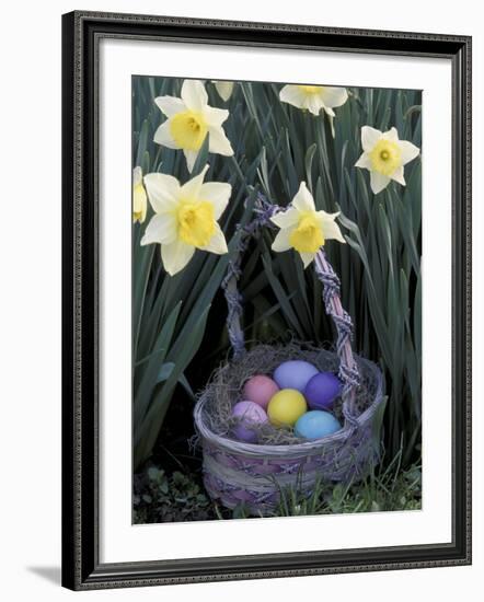 Easter Basket Among Daffodils, Louisville, Kentucky, USA-Adam Jones-Framed Photographic Print