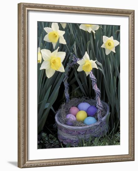 Easter Basket Among Daffodils, Louisville, Kentucky, USA-Adam Jones-Framed Photographic Print