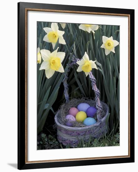 Easter Basket Among Daffodils, Louisville, Kentucky, USA-Adam Jones-Framed Photographic Print