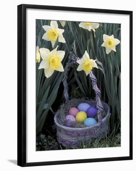 Easter Basket Among Daffodils, Louisville, Kentucky, USA-Adam Jones-Framed Photographic Print