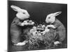 Easter Bunnies and Eggs-null-Mounted Photographic Print