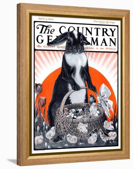 "Easter Bunny and Basket of Chicks," Country Gentleman Cover, April 4, 1925-Paul Bransom-Framed Premier Image Canvas