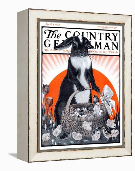 "Easter Bunny and Basket of Chicks," Country Gentleman Cover, April 4, 1925-Paul Bransom-Framed Premier Image Canvas