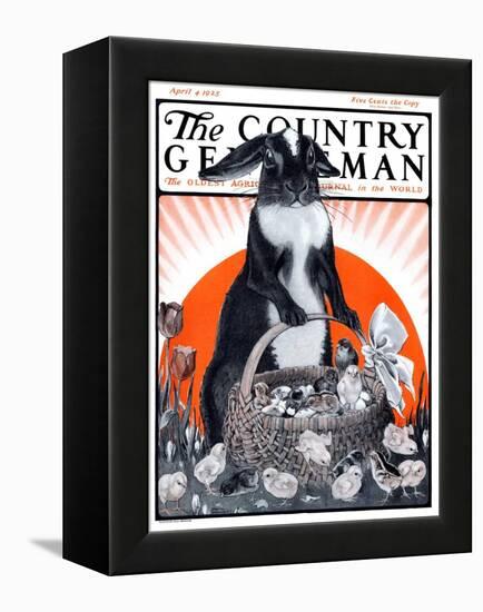 "Easter Bunny and Basket of Chicks," Country Gentleman Cover, April 4, 1925-Paul Bransom-Framed Premier Image Canvas