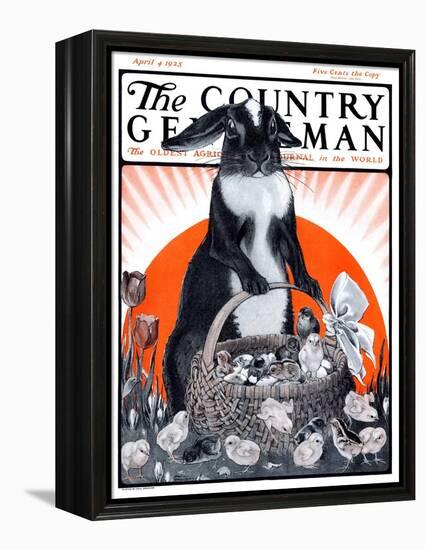 "Easter Bunny and Basket of Chicks," Country Gentleman Cover, April 4, 1925-Paul Bransom-Framed Premier Image Canvas