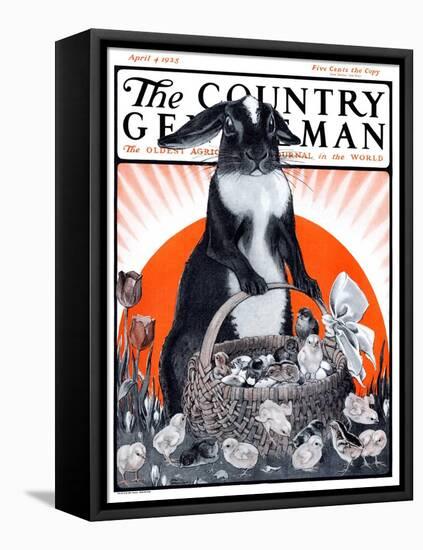 "Easter Bunny and Basket of Chicks," Country Gentleman Cover, April 4, 1925-Paul Bransom-Framed Premier Image Canvas