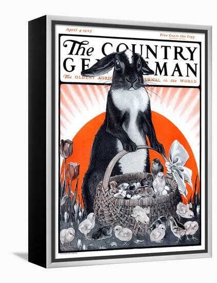 "Easter Bunny and Basket of Chicks," Country Gentleman Cover, April 4, 1925-Paul Bransom-Framed Premier Image Canvas