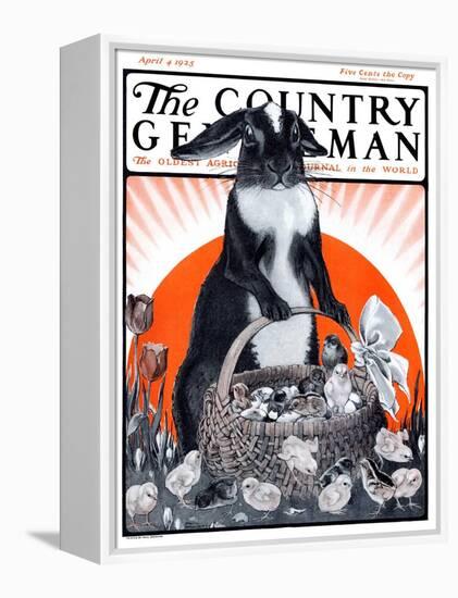 "Easter Bunny and Basket of Chicks," Country Gentleman Cover, April 4, 1925-Paul Bransom-Framed Premier Image Canvas