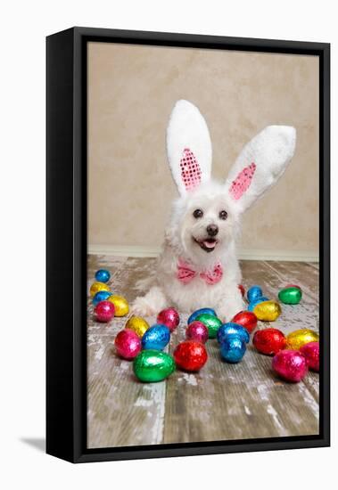 Easter Bunny Dog With Chocolate Easter Eggs-lovleah-Framed Premier Image Canvas