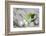 Easter Decoration with Green Cup-Andrea Haase-Framed Photographic Print