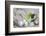 Easter Decoration with Green Cup-Andrea Haase-Framed Photographic Print