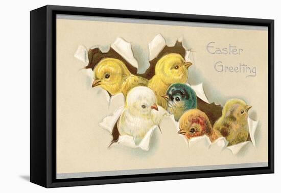 Easter Greeting, Chicks-null-Framed Stretched Canvas