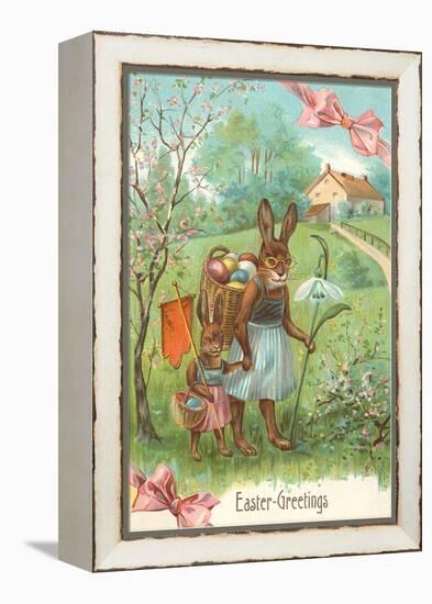 Easter Greetings, Spectacled Rabbit in Dress-null-Framed Stretched Canvas