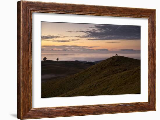 Easter Island, Chile-Karine Aigner-Framed Photographic Print