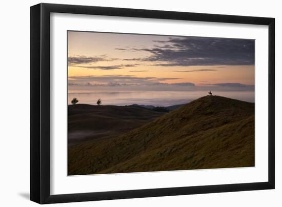 Easter Island, Chile-Karine Aigner-Framed Photographic Print