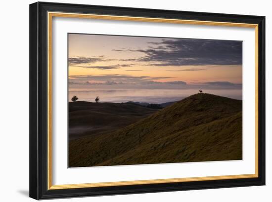 Easter Island, Chile-Karine Aigner-Framed Photographic Print