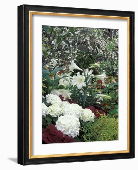 Easter Lilies and Hydrangea Flowers-Adam Jones-Framed Photographic Print